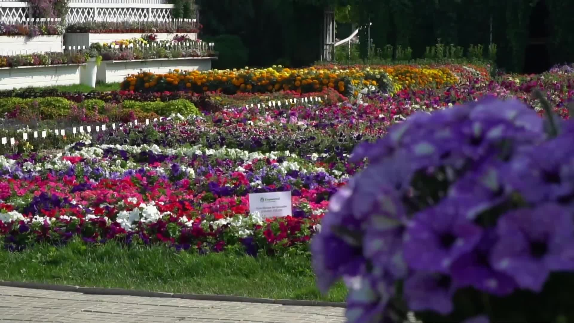 Репортажная/видеоотчеты/контент. Видеограф в Москве и МО Максим Атаев