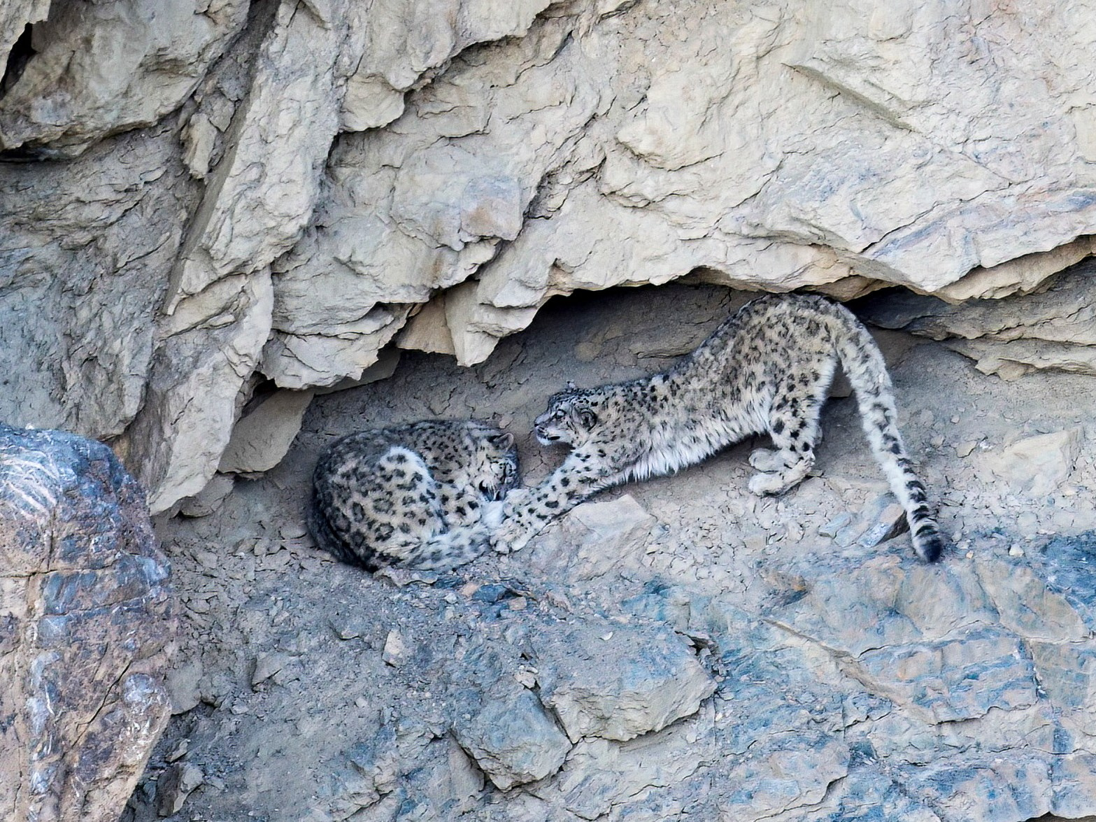 Фотограф Сергей Пупонин