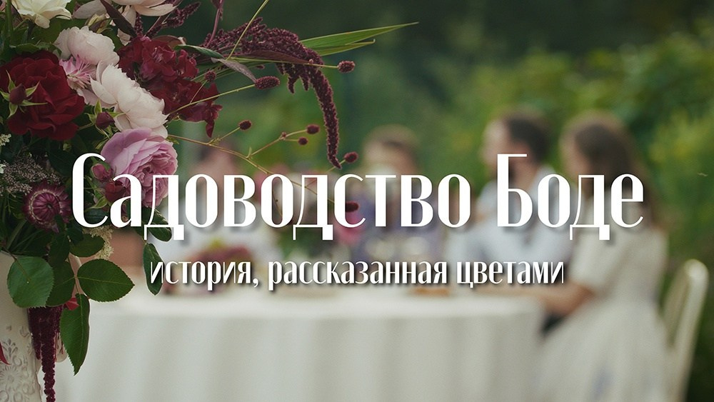 Имиджевое видео для бизнеса и брендов. Профессиональный видеограф в Санкт-Петербурге Алексей Ставрович