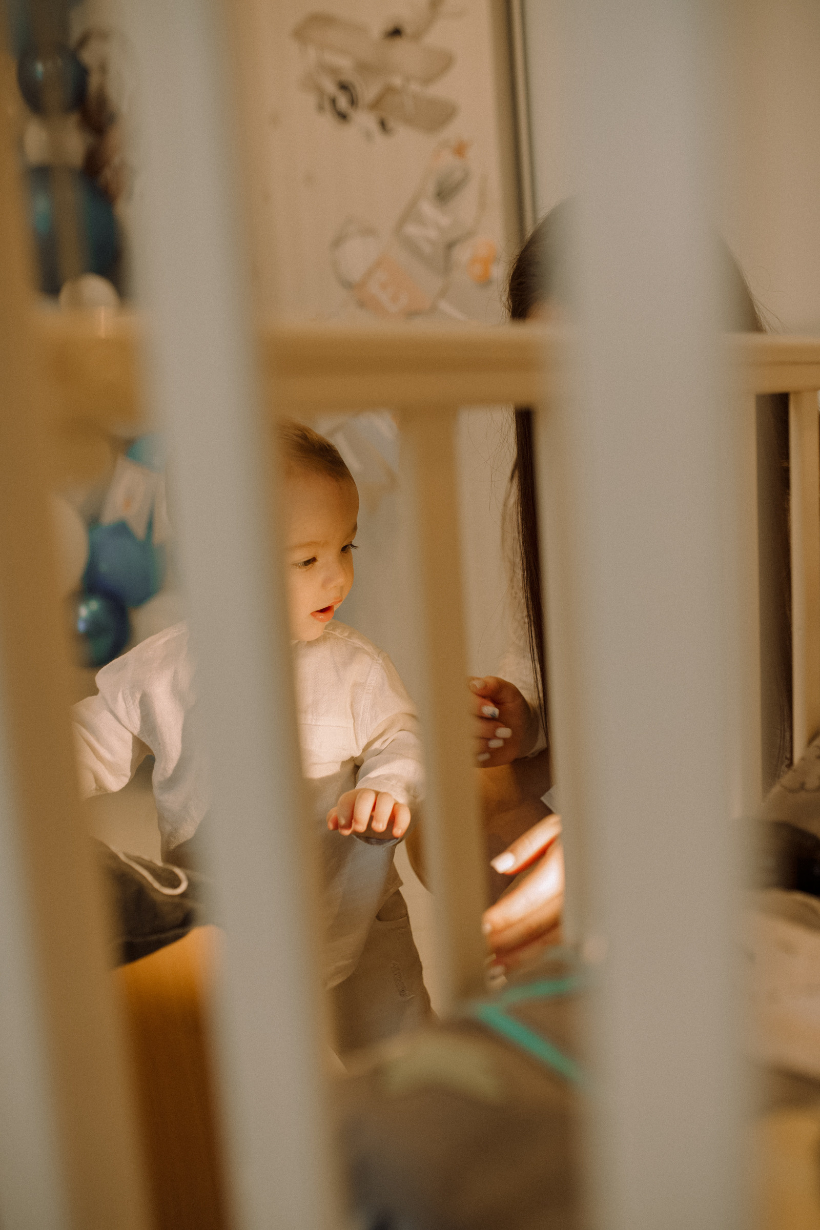 Лёве 1 год. Фотограф Ионова Анастасия, г Владивосток