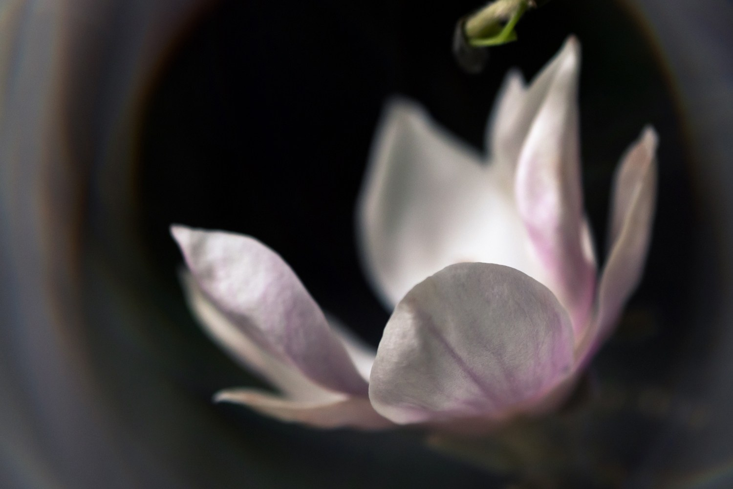 About me. Author’s fine art prints with international delivery