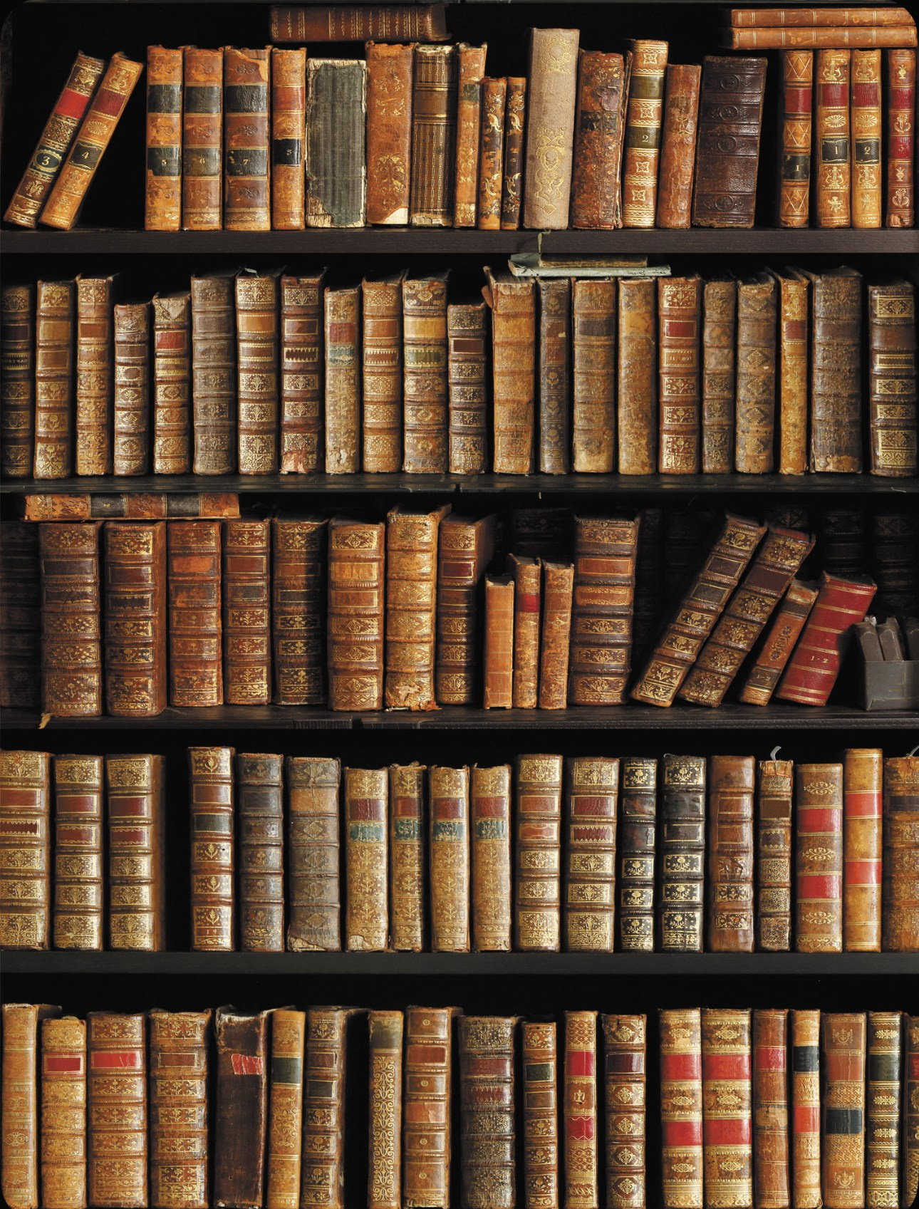 Фоны для съёмки. Фото и видео Москва. Свадебный фотограф, видеограф, фотосессии, видеосъемка