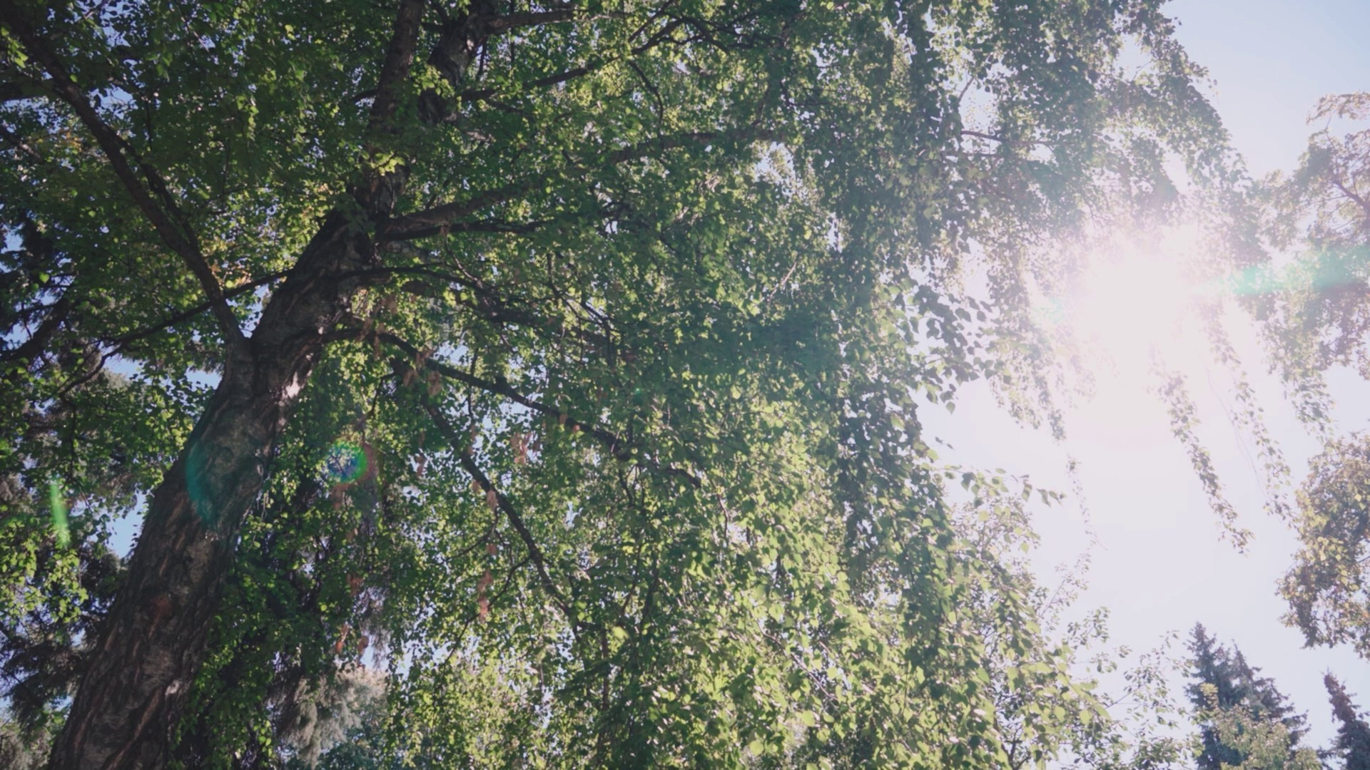 Свадебные клипы и фильмы в Воронеже | KOSTIN EDIT. Артём Костин — свадебный видеограф в Воронеже | KOSTIN EDIT