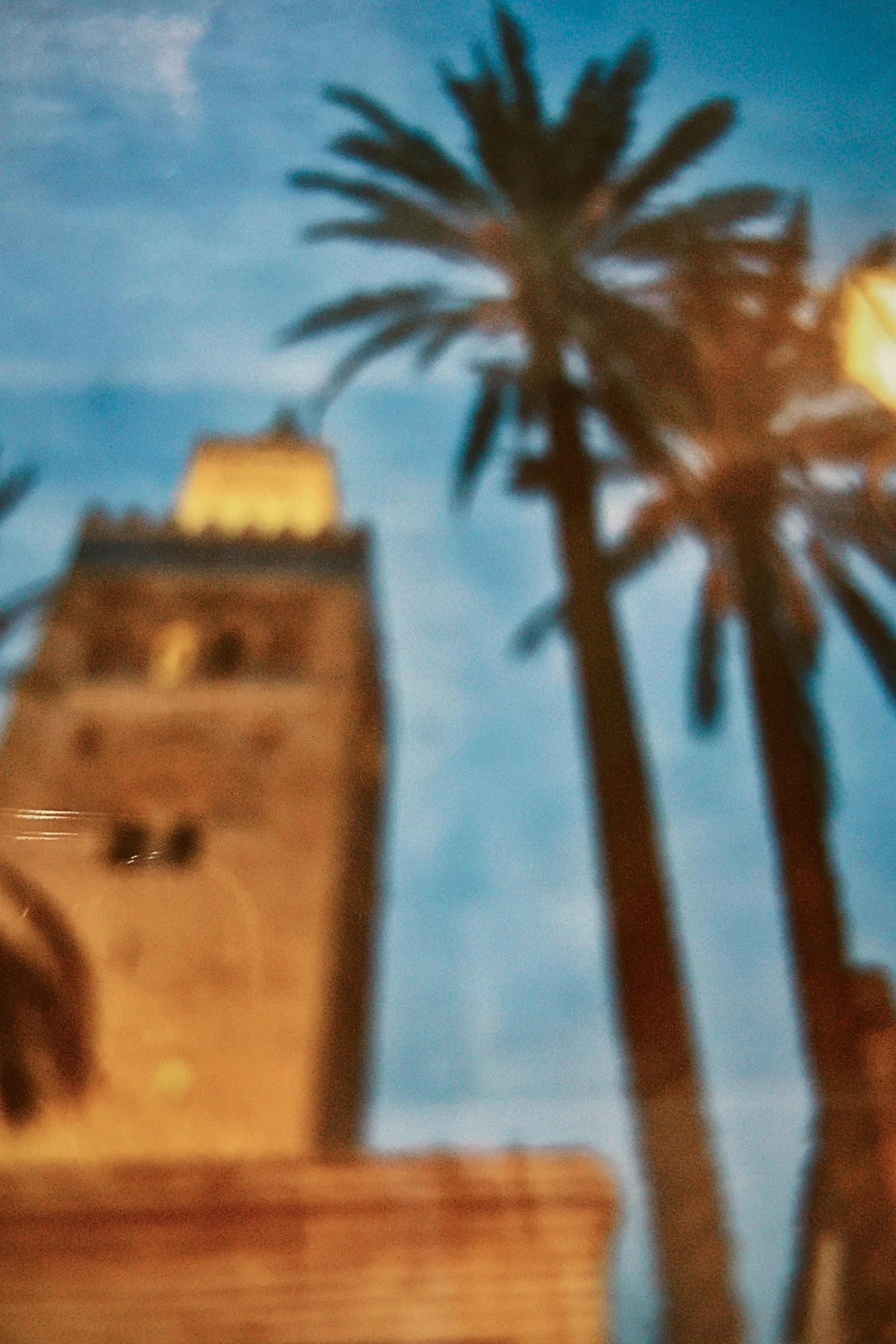 Marrakesh, Majorelle & Yves Saint Laurent | The Geography of Inspiration