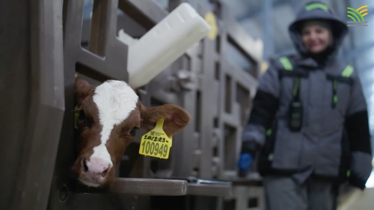 Видео. Фотограф в Кашине Калязине Кесовой Горе. Евгений Копайсов | официальный сайт