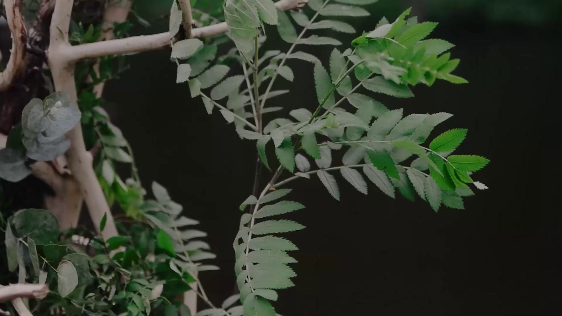 Настя и Женя, 2019. Фотограф и видеограф в Москве и Абу Даби Мария Кулагина