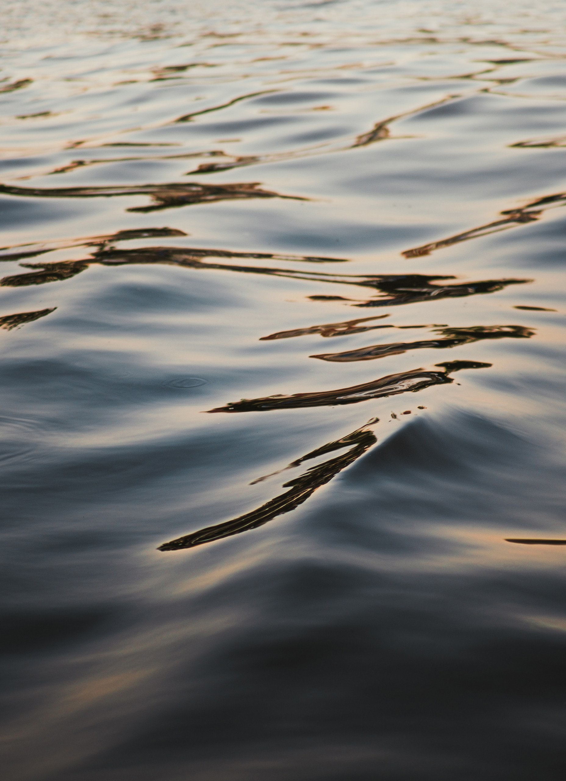 Илья Казанков. Фотограф и графический дизайнер из Калининграда