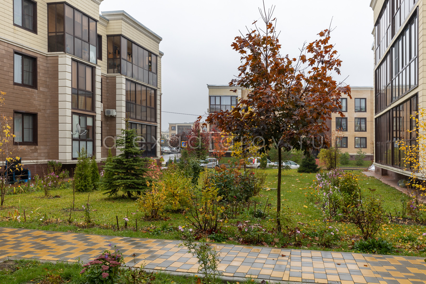 Наталия Талова. Фотограф Гафаров Александр