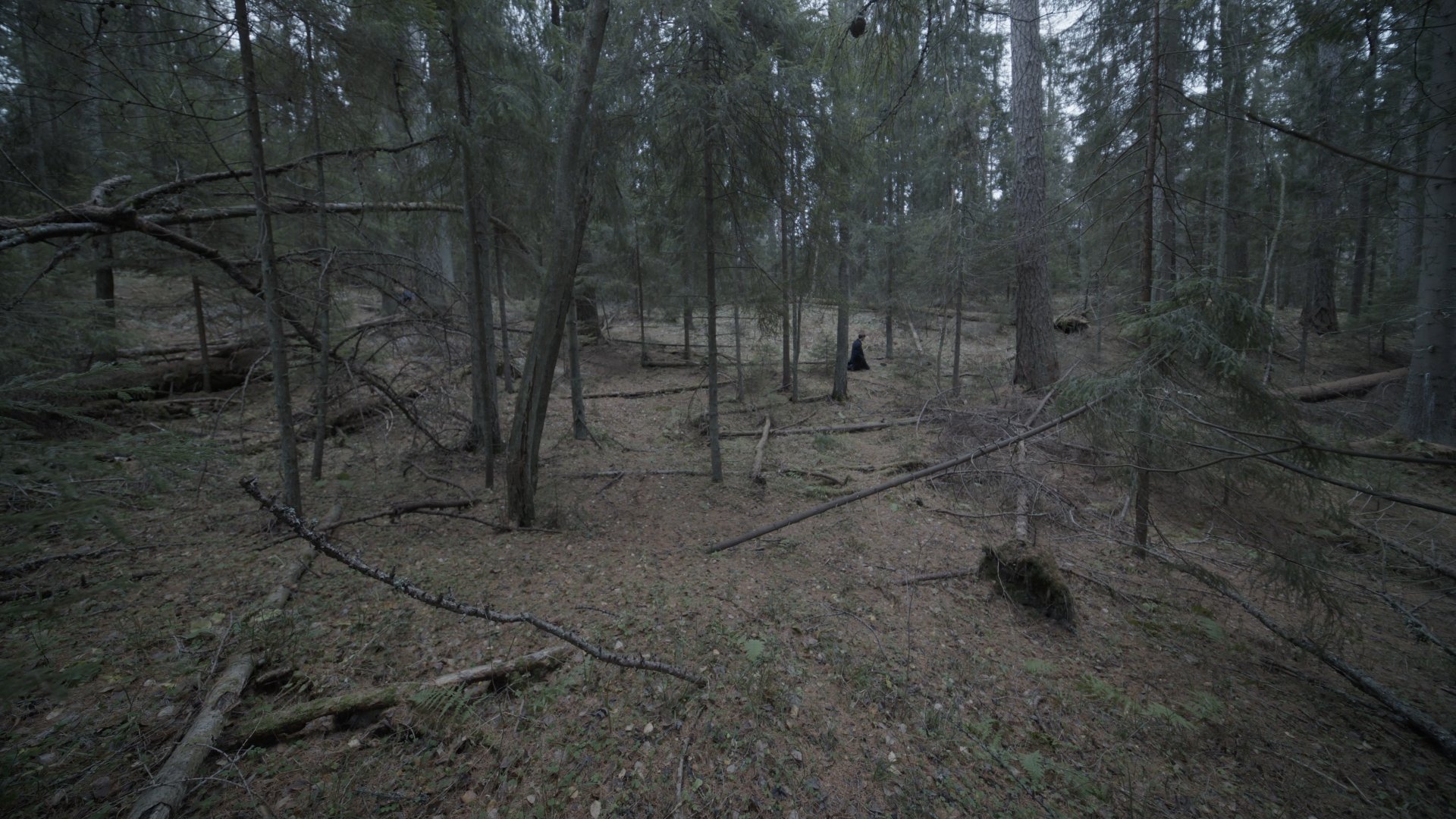 Filmmaking. Фотограф в Петербурге Марина Бояринцева