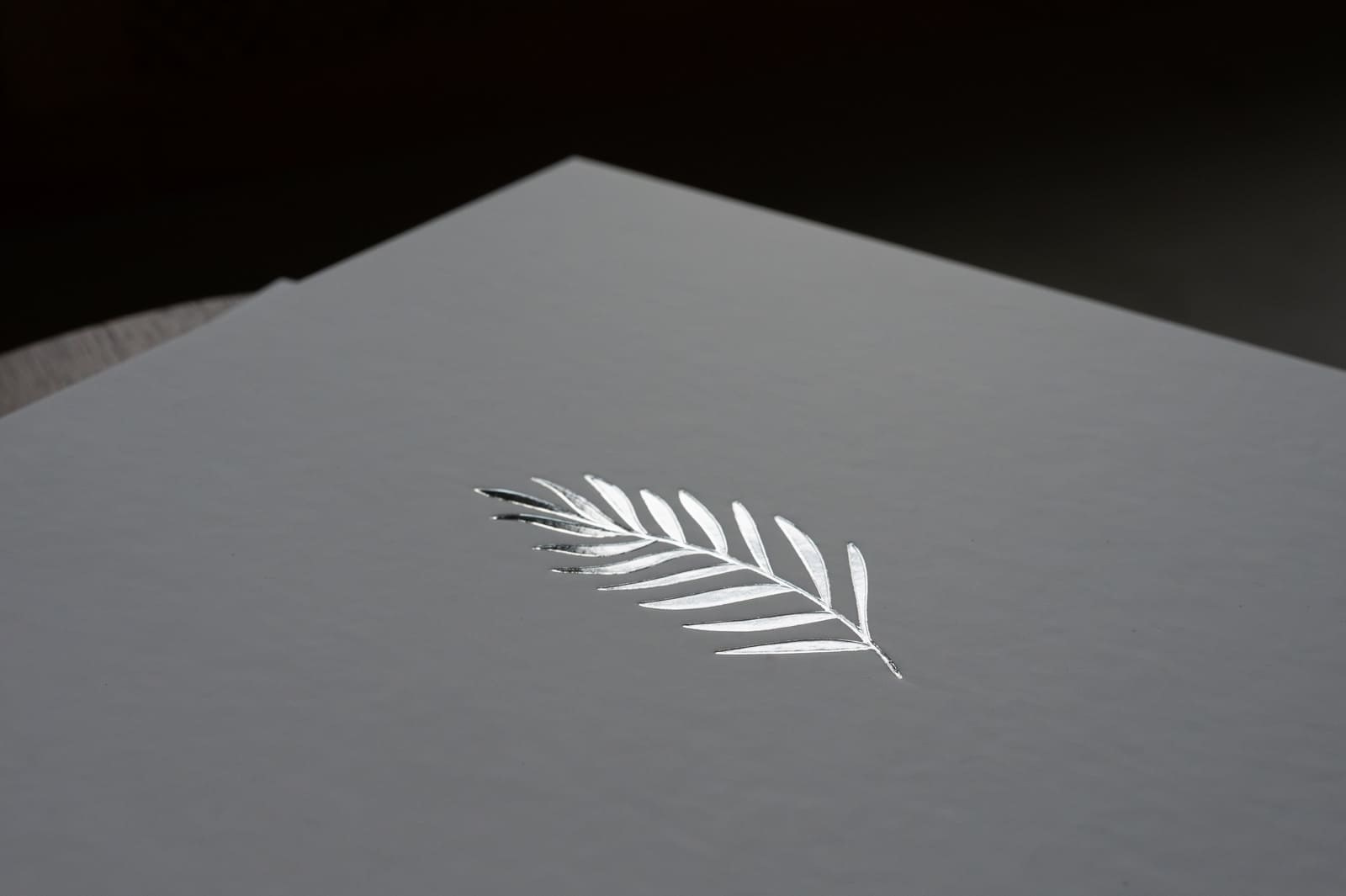 Родительские альбомы. Фотограф в Минске Алёна Дианина