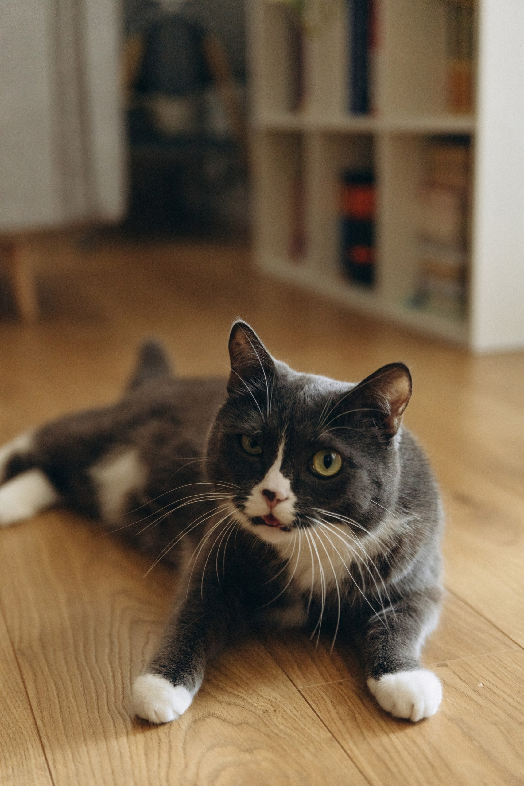 Прайс на съемки. Свадебный фотограф Ирина Поздеева в Томске/Северске