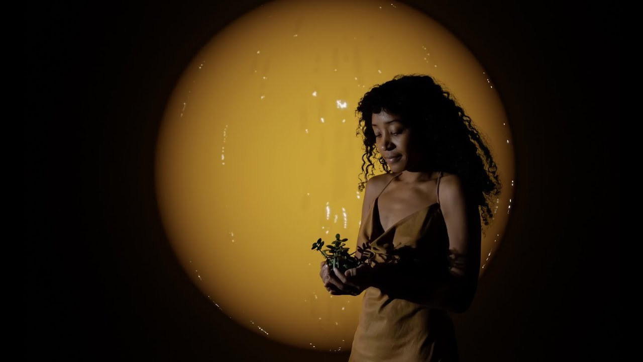 Переплетенные нити. Sandra Marselly | Абстрактная Макро-Фотография