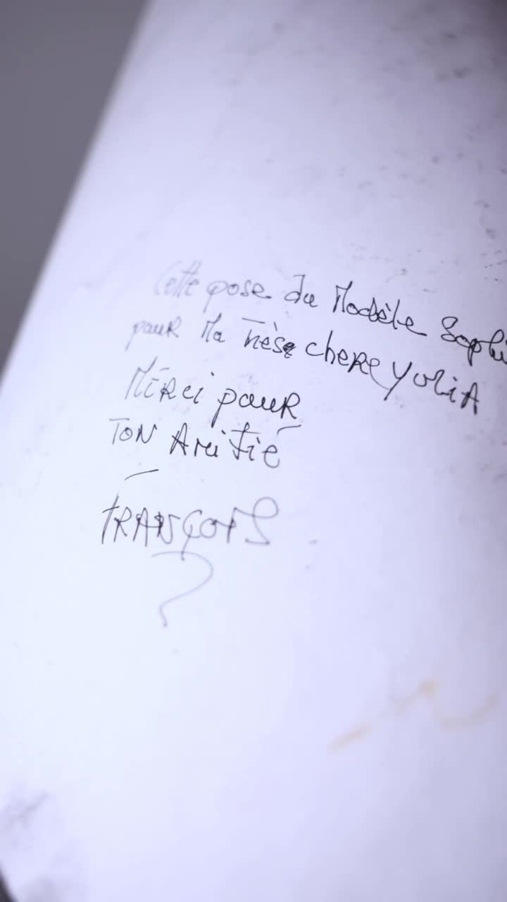 Видеограф Москва