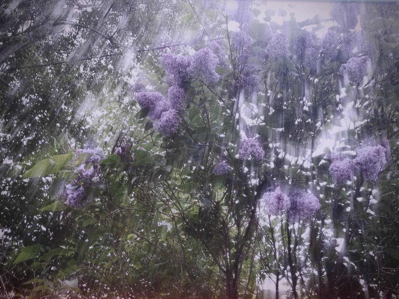Тексты. VITA · visual therapy arts