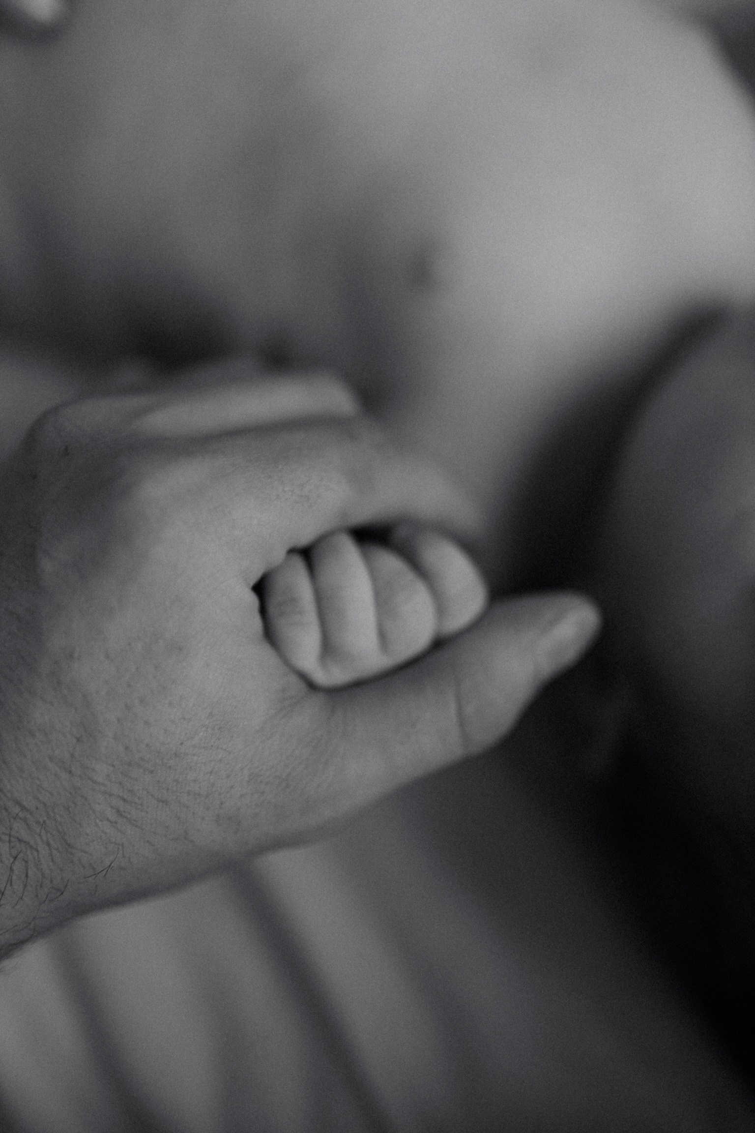 Контакты. Семейный фотограф в Сургуте и Новороссийске Алена Быхун