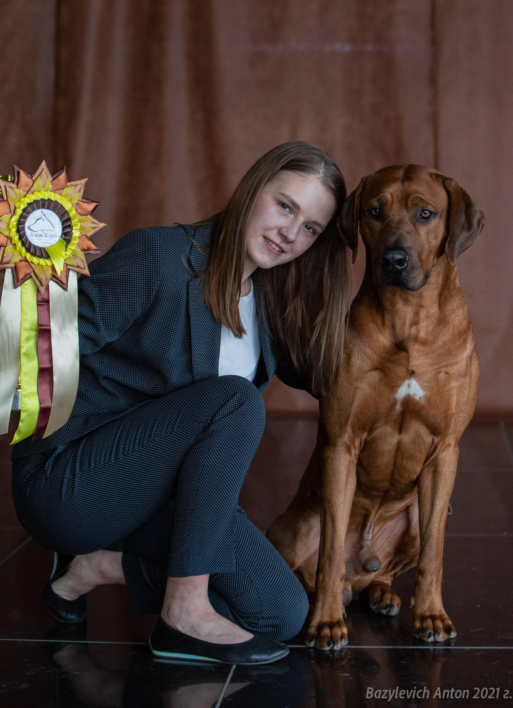Фотографии родезийского риджбека Adhamas Geni Nala (Алана). Rhodesian ridgeback Adhamas Geni Nala