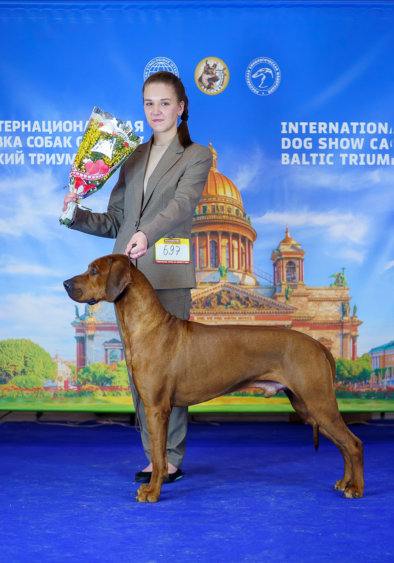 Фотографии родезийского риджбека Adhamas Geni Nala (Алана). Rhodesian ridgeback Adhamas Geni Nala