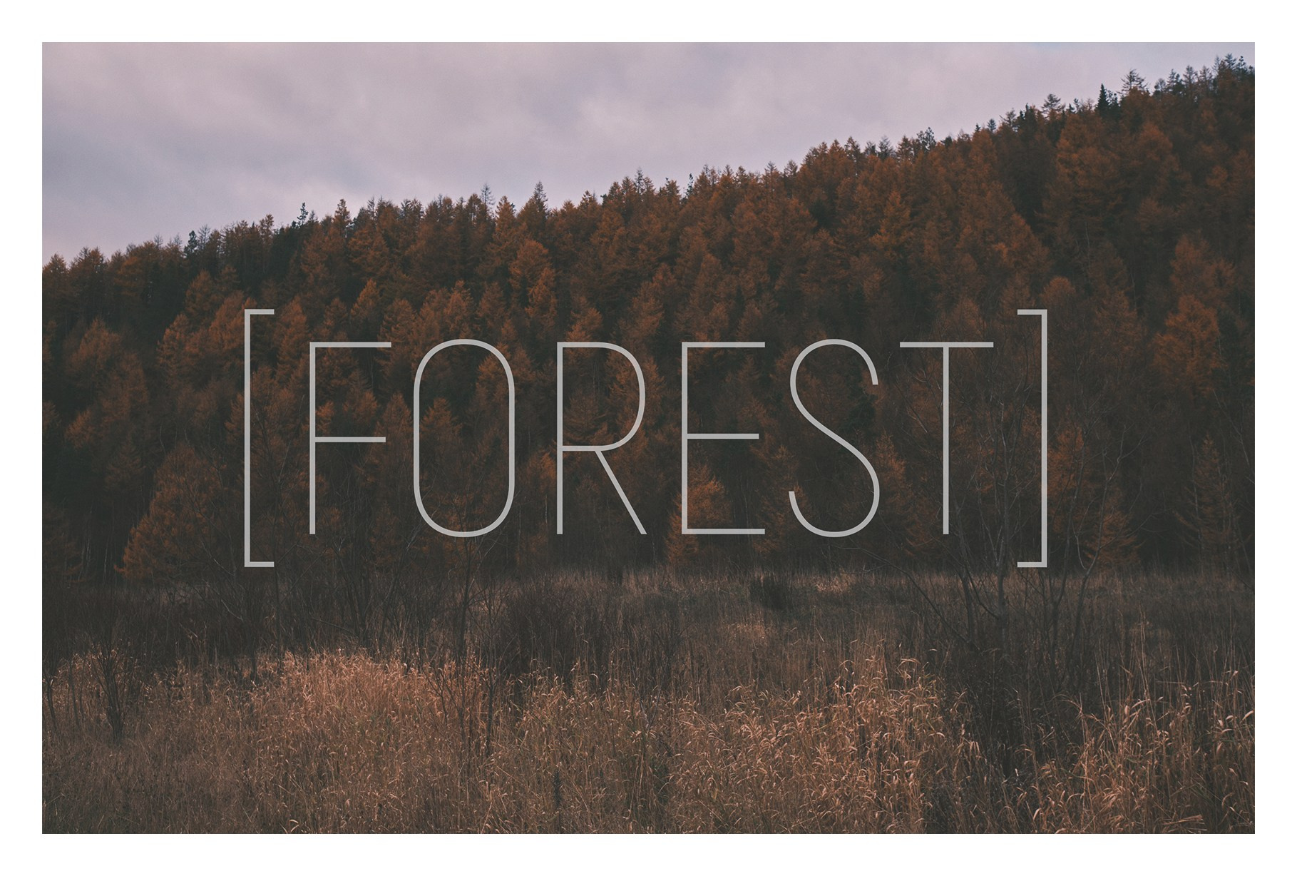 Авторские открытки