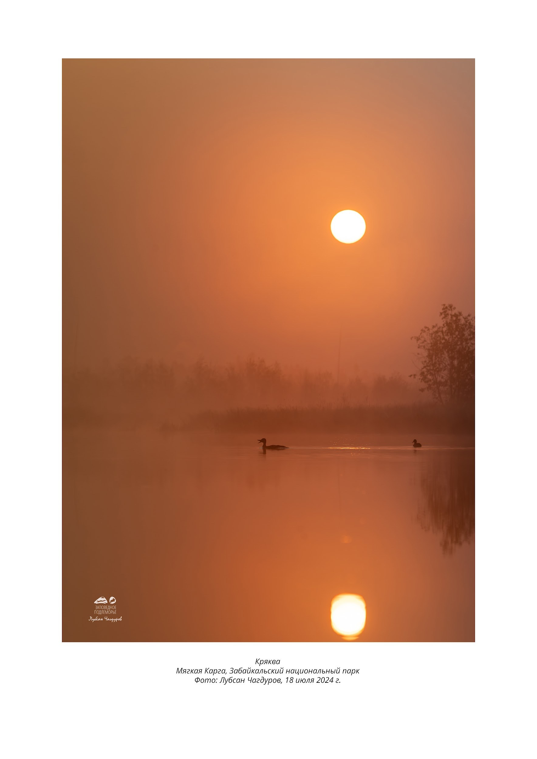 Фотограф Лубсан Чагдуров