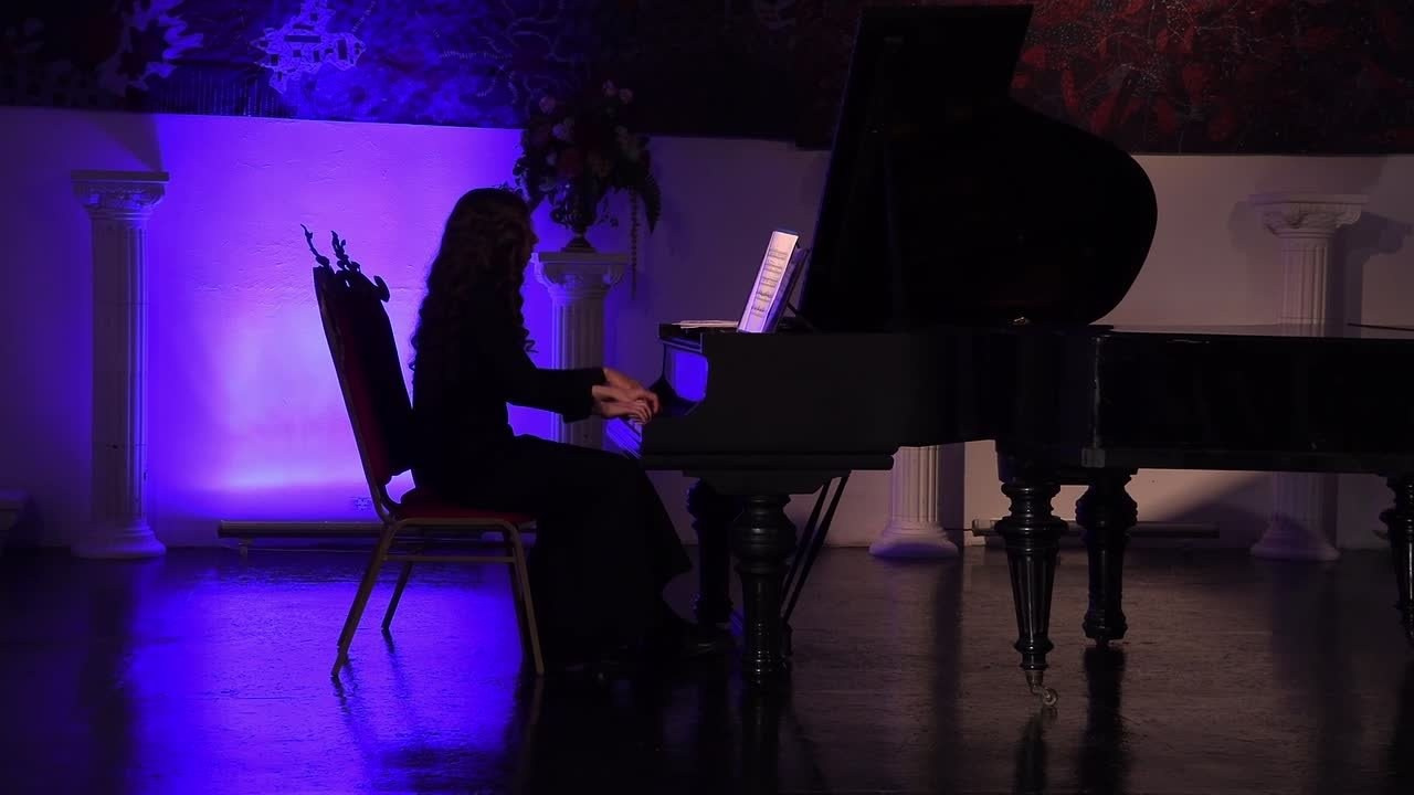 Морис Равель Импрессионизм как впечатление фортепианный концерт Тимофей Суслов и Алиса Духовлинова. Дом Шрёдера