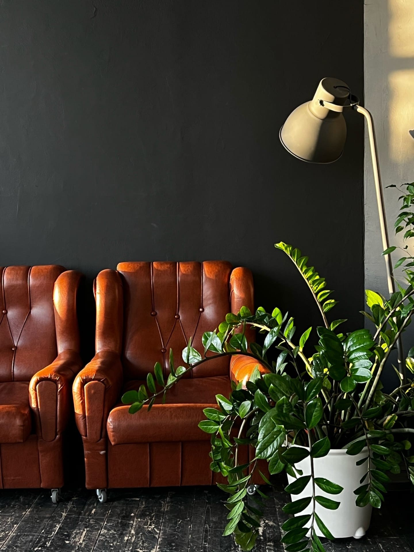 Фотостудии Барнаул. Свадебный репортажный и фуд фотограф в Барнауле Гайфулин Виталий