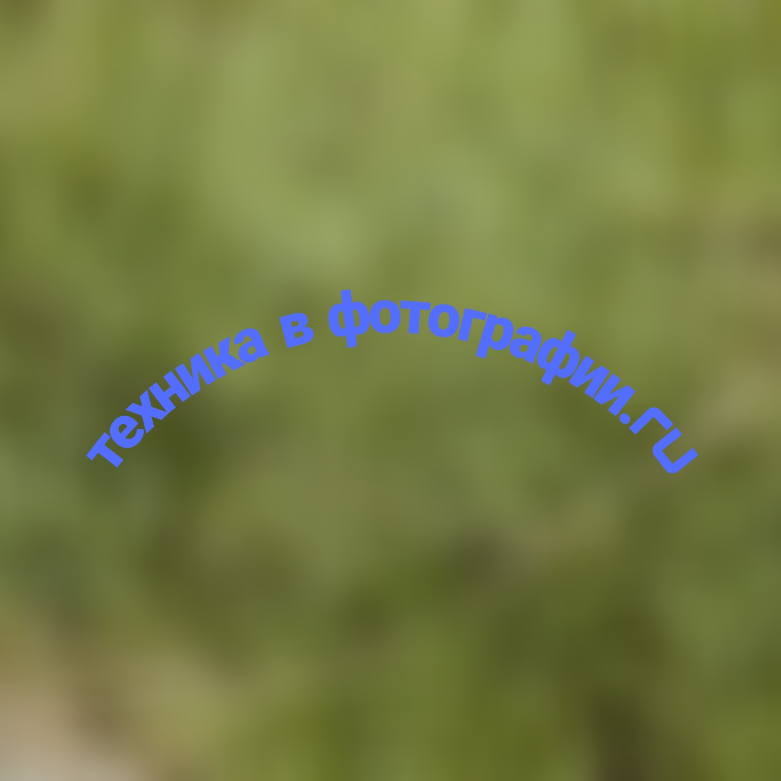 А чево не лавелдавн???. Jorgis Talè — photographer, kind person, teacher of arts and other mag