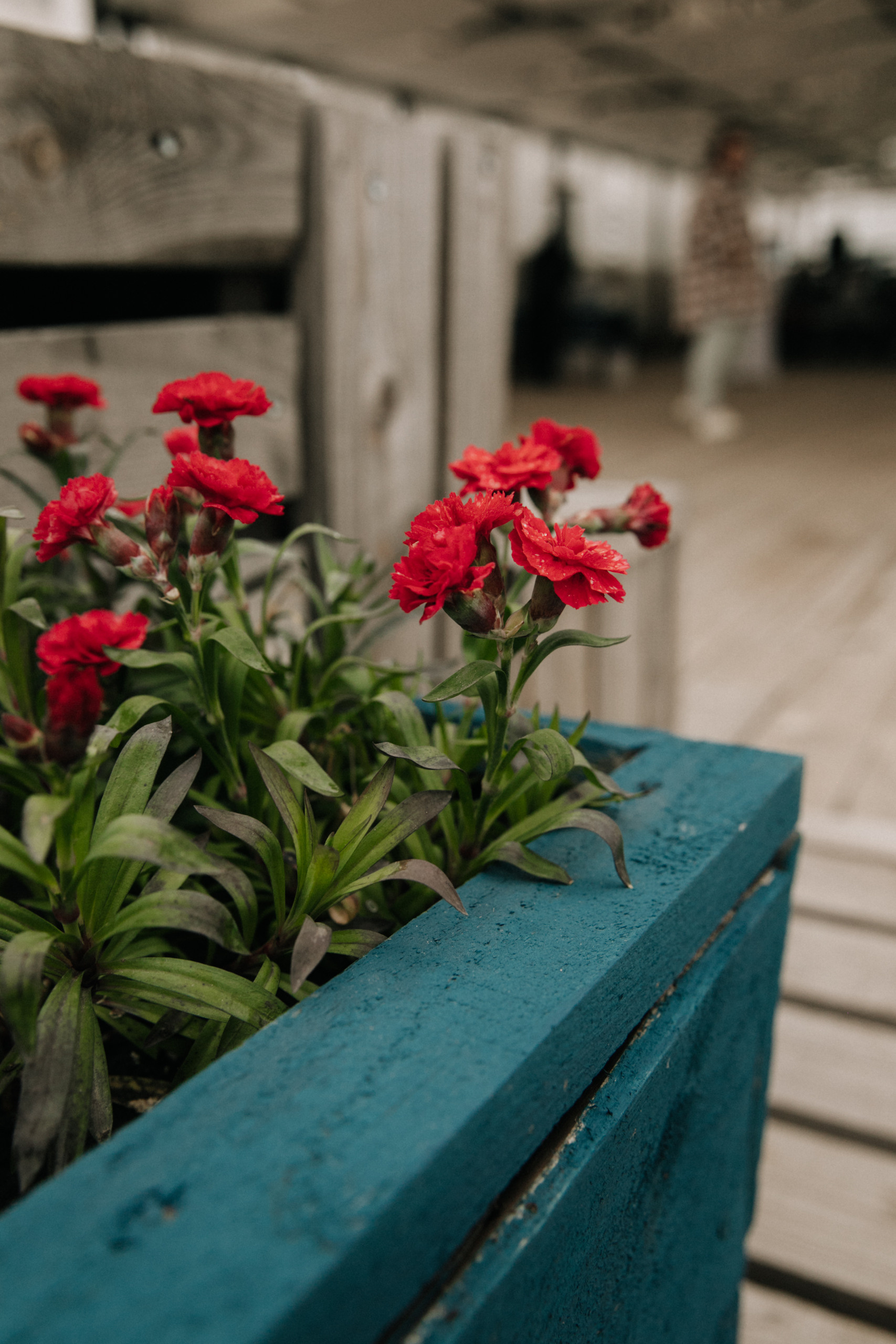 Отзывы. Семейный и детский фотограф в Москве Таня Лисицкая