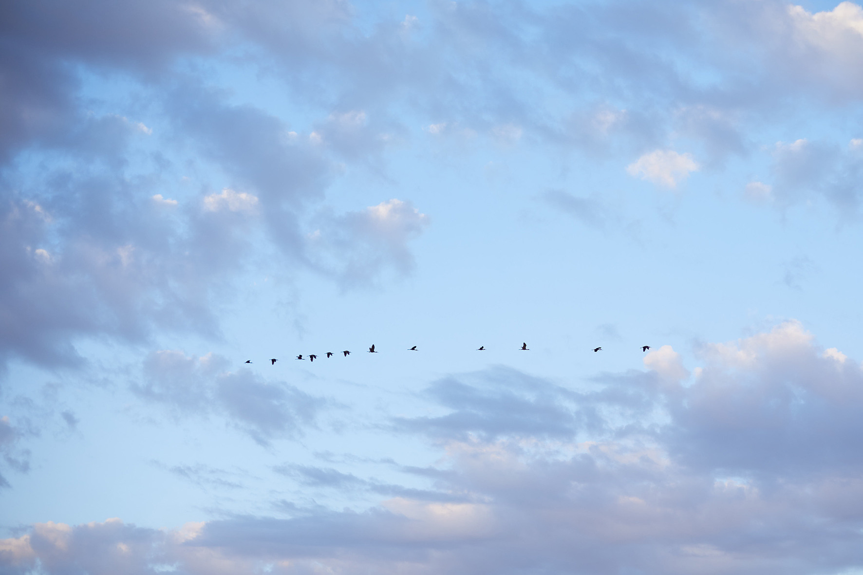 «Карина в стоге сена». Свадебный и креативный фотограф в ЮФО и МСК
