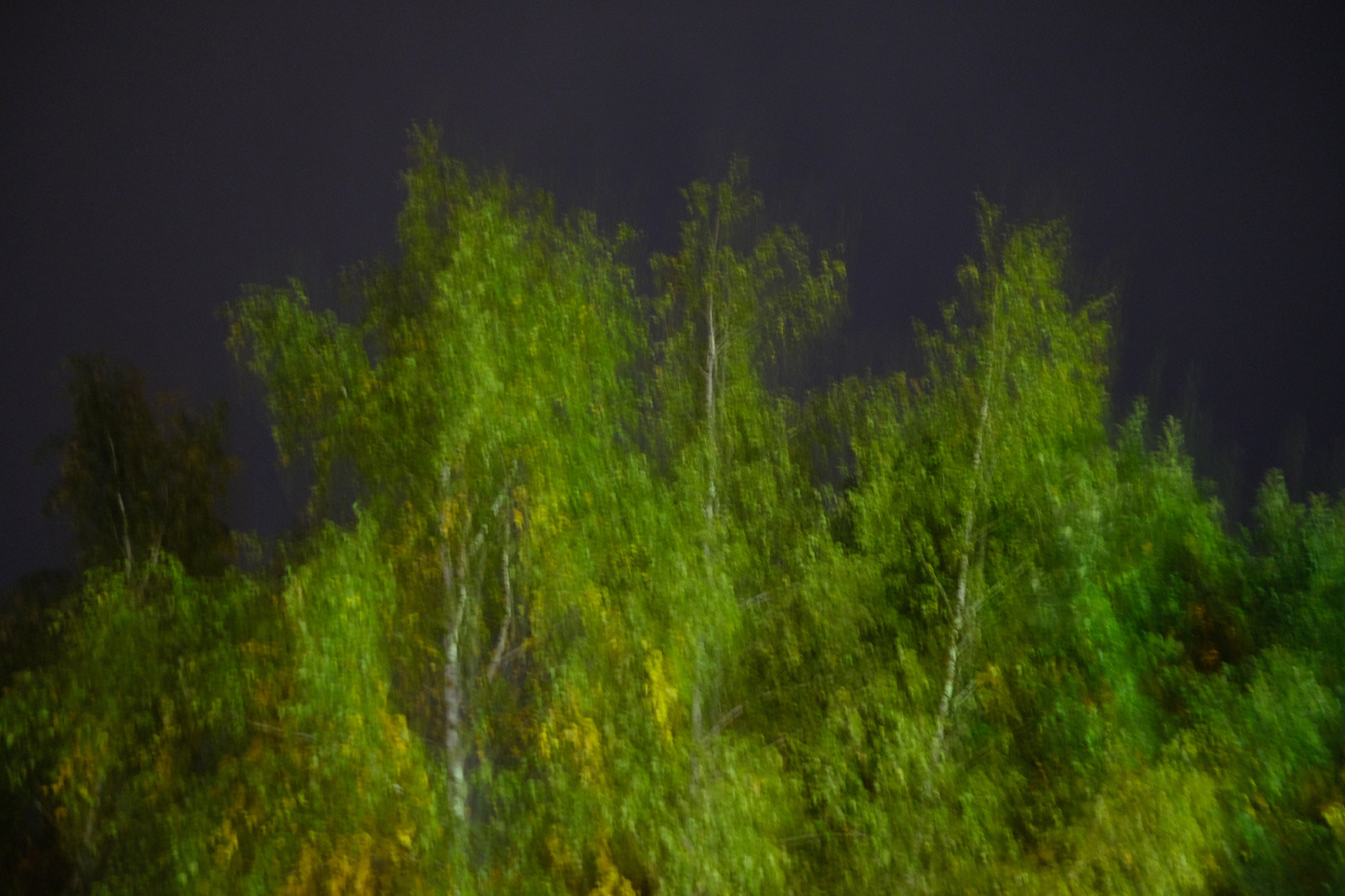 Introversion. Documentary photographer Olga Kardashova