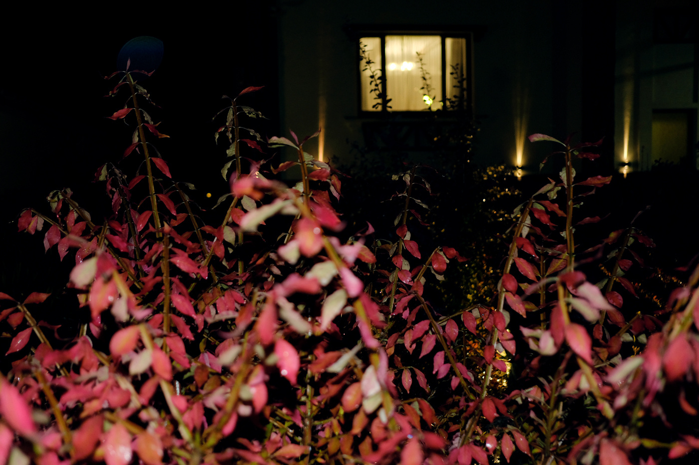 Introversion. Documentary photographer Olga Kardashova