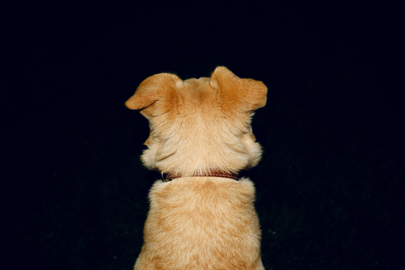 Introversion. Documentary photographer Olga Kardashova