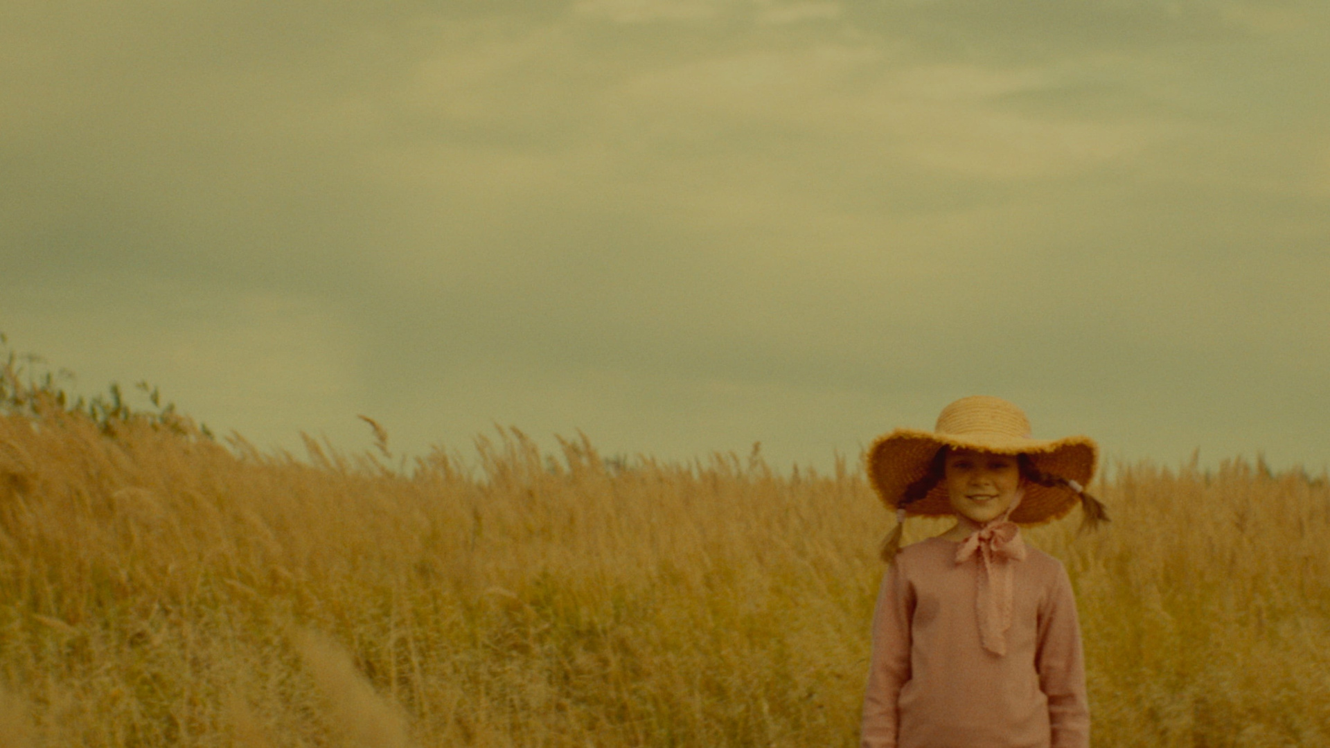 Director of photography