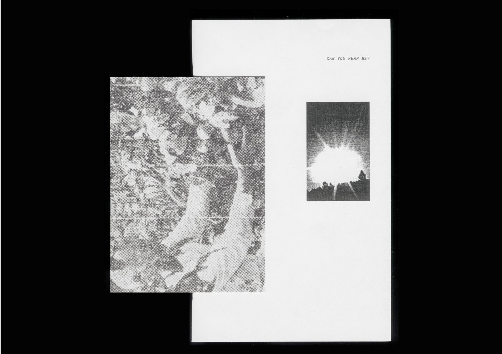 Воркшоп по зинам. Самоорганизация Низина