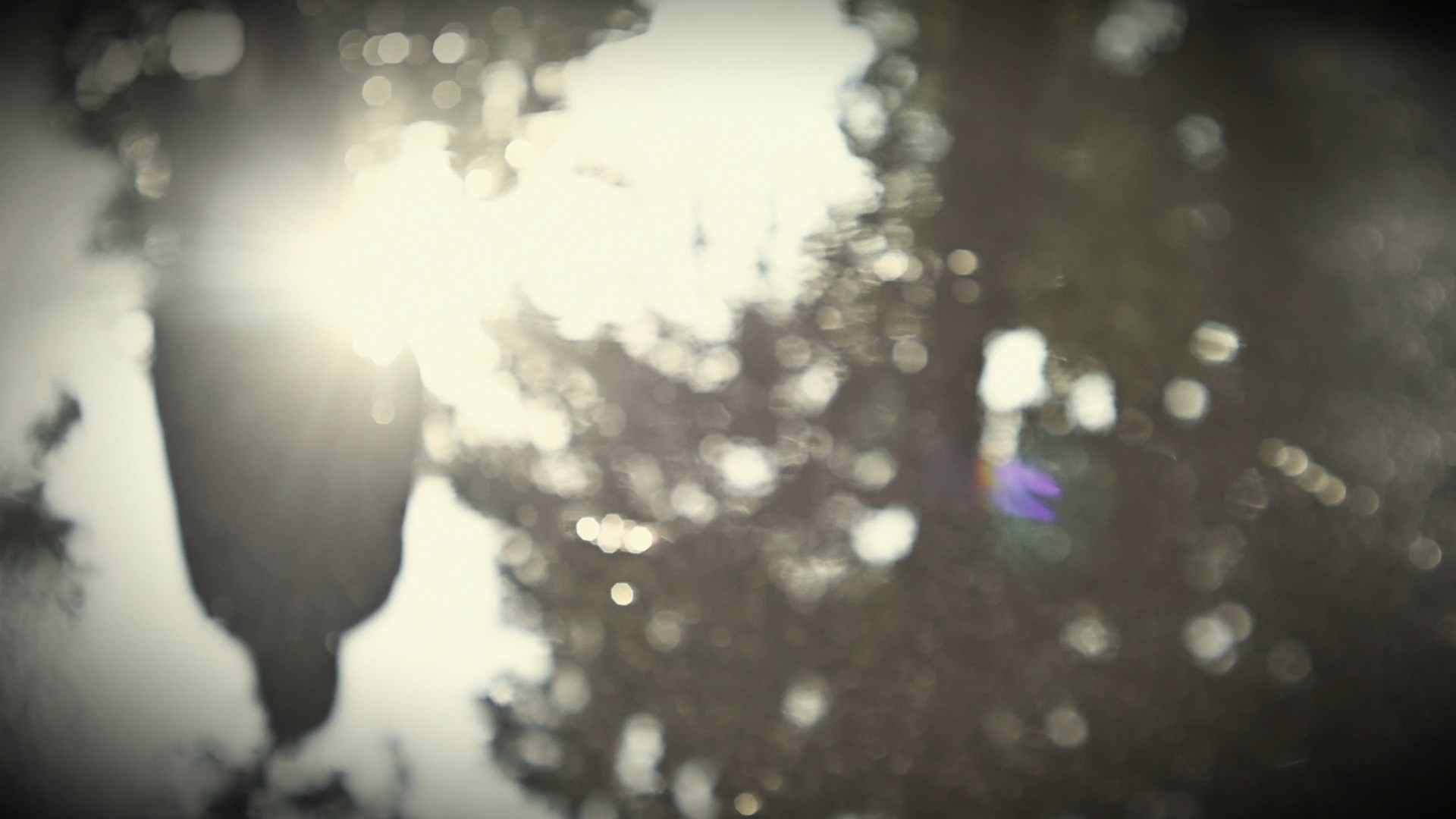 NOSTALGIA. Timeless Art