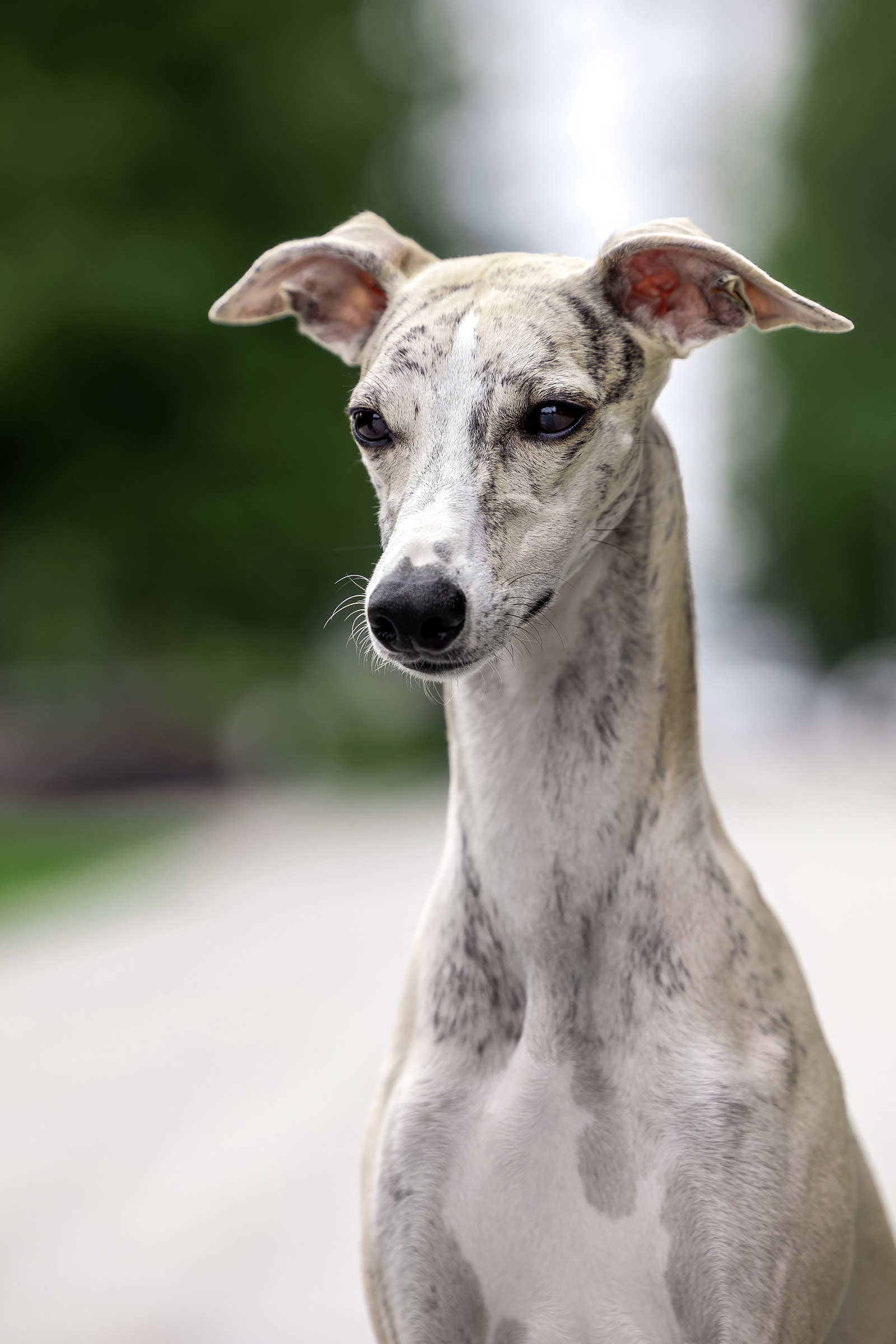 Услуги. Htykk_photo