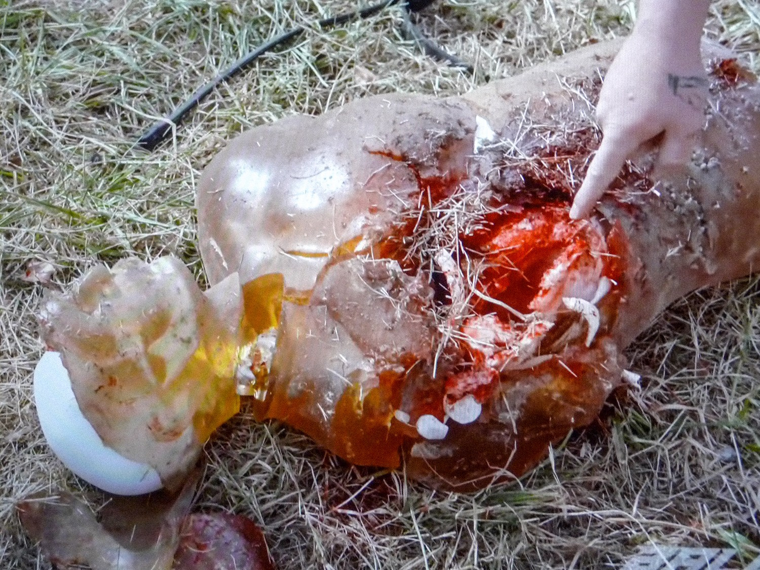 Полина Семёнычева «Breakfast gore». Самоорганизация Низина