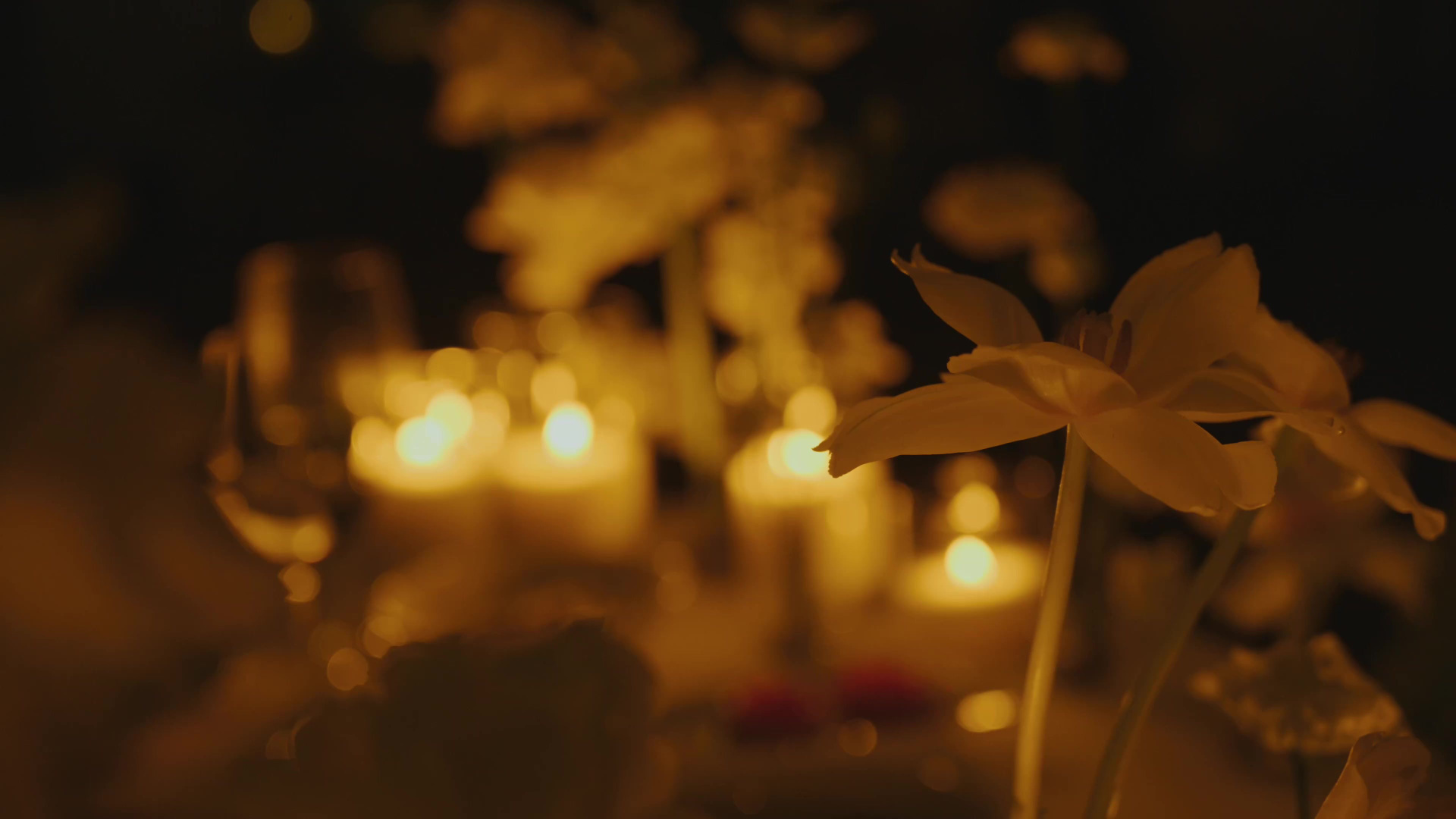 Любимкинс. Свадебный Фотограф Минск || Фото и Видеосъёмка Минск || Другие города