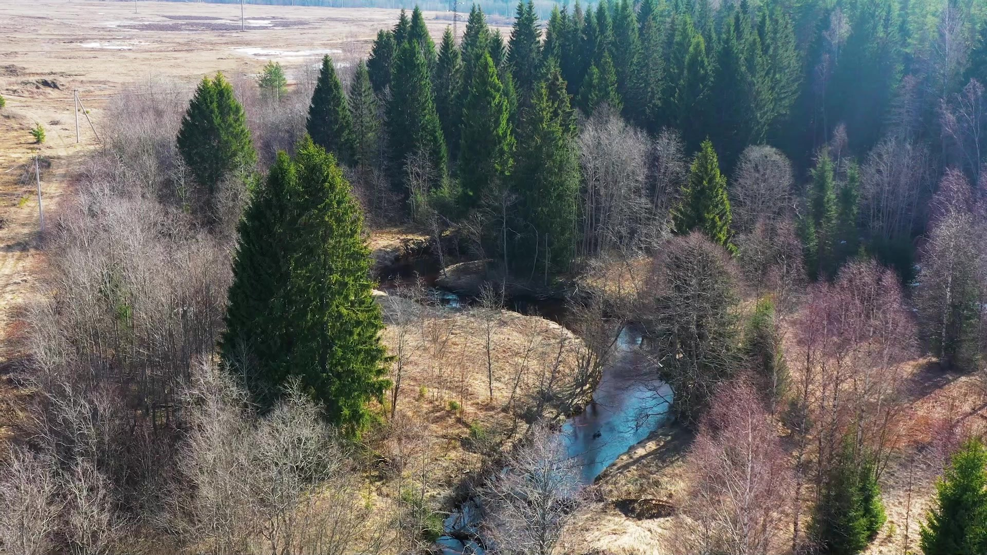 Видео (1). Спортивный Фотограф и Видеограф Свирида Антон Санкт-Петербург
