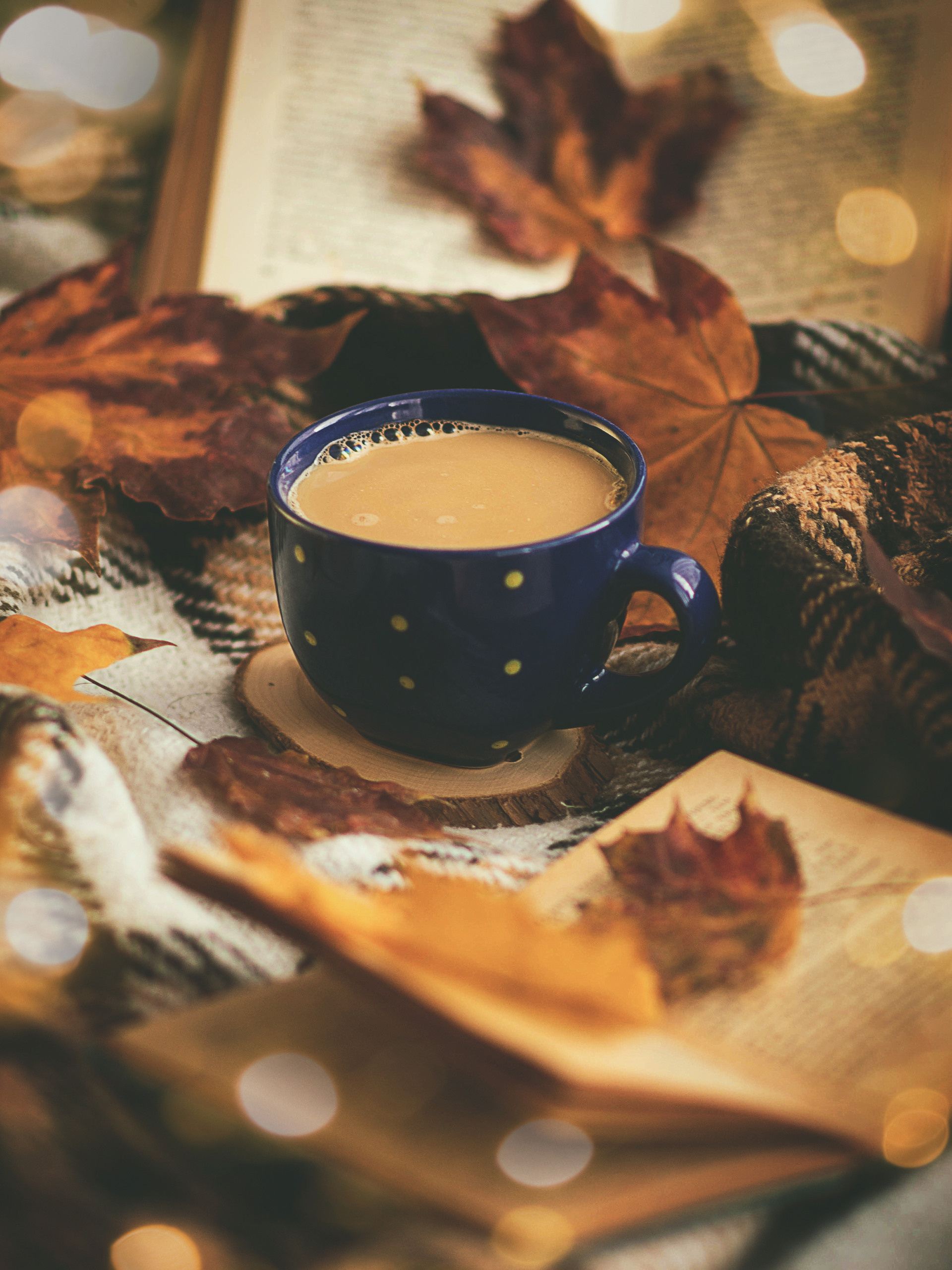 Осеннее вдохновение. Художественная фотография. Фотограф в Москве, Оксана Ребристая