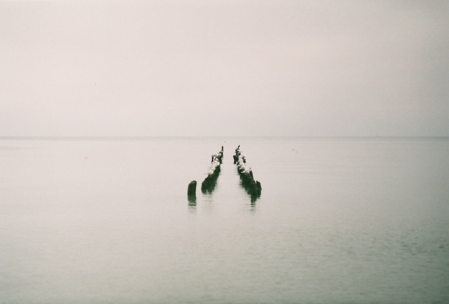 #спецкорНвер