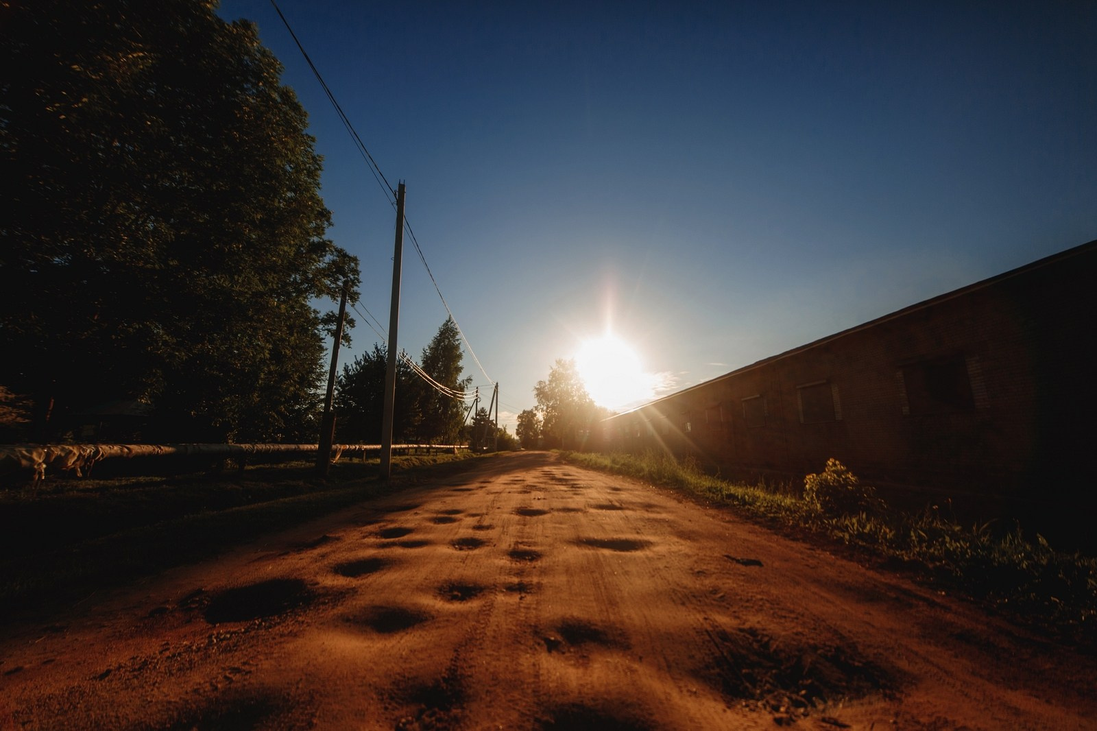 Музей Гадов