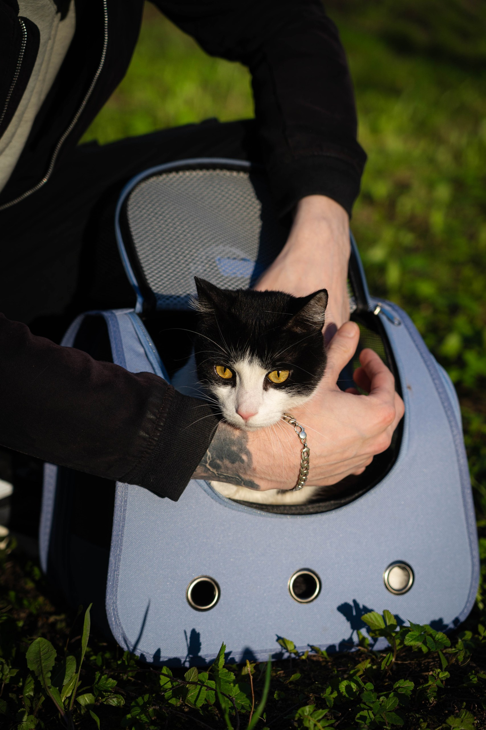 Для бизнеса. Репортажный фотограф в Санкт-Петербурге