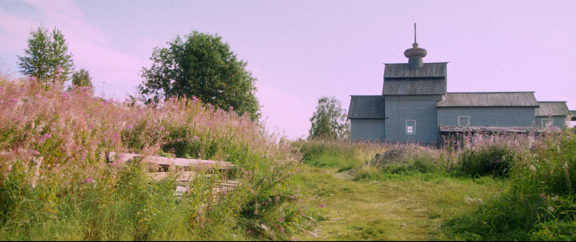 Портфолио. Диана Горгон — режиссер, продюсер, сценарист