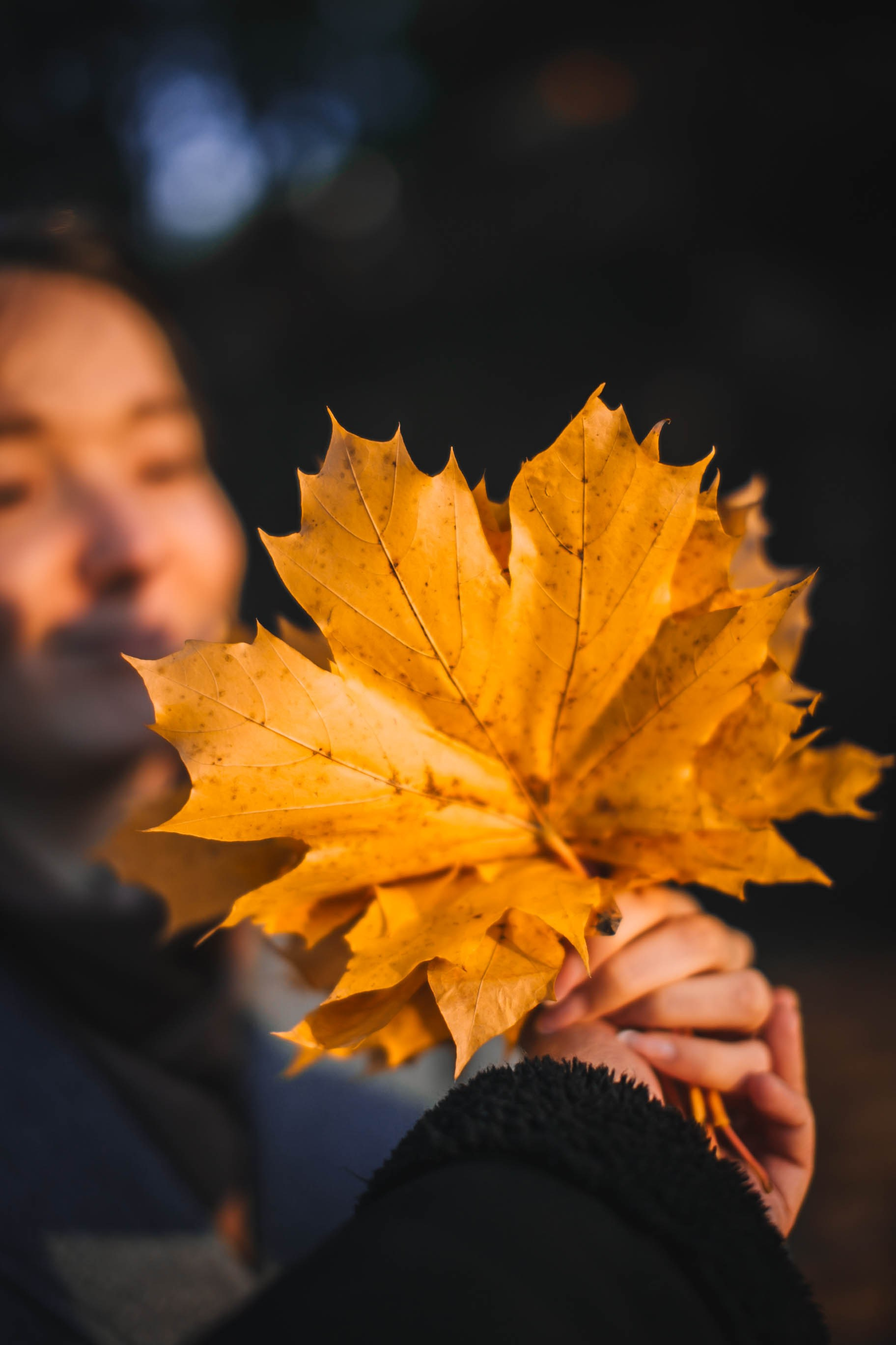 Настроение осень. Главная