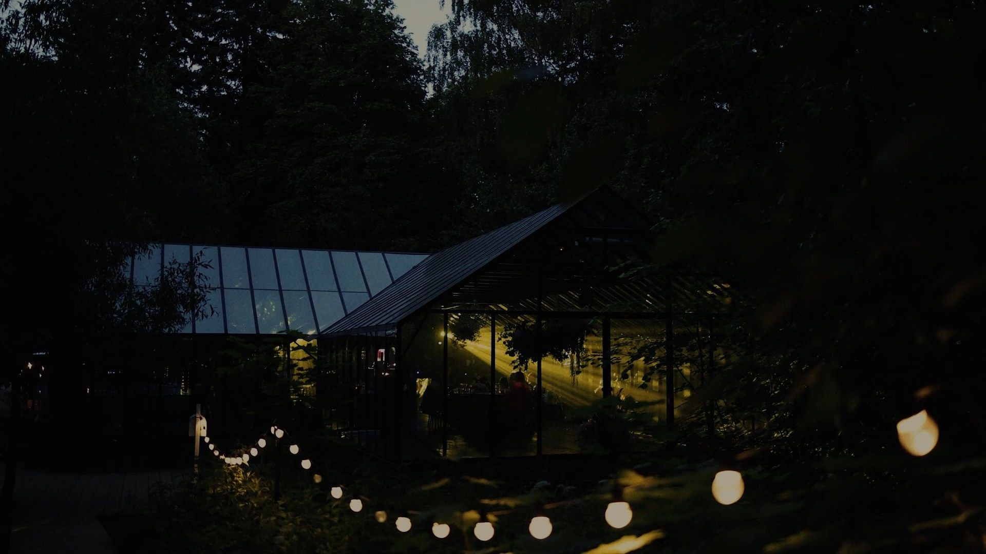 Портфолио видеографа. Свадебный видеограф в Москве и Питере Алевтина Украинцева