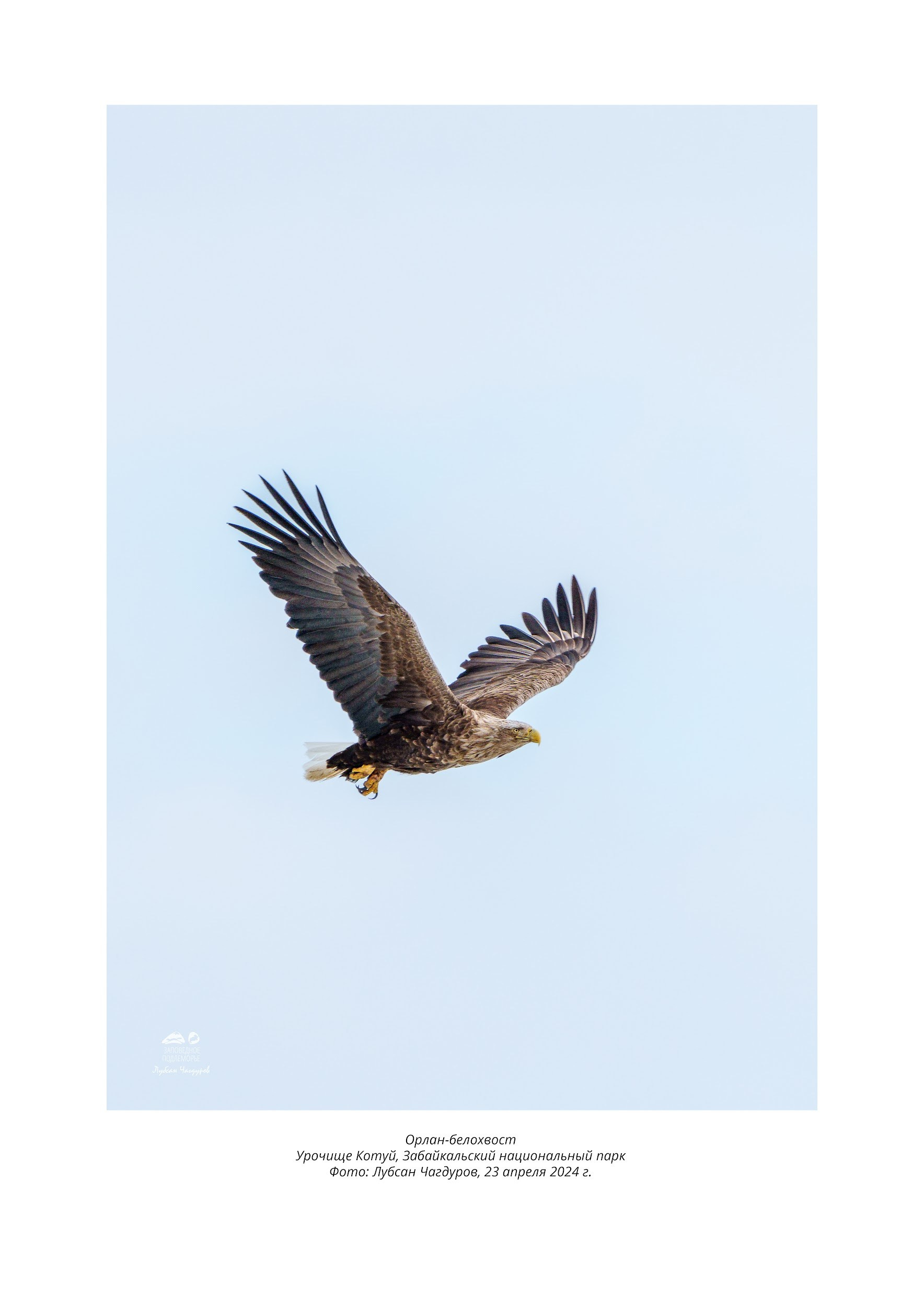 Фотограф Лубсан Чагдуров