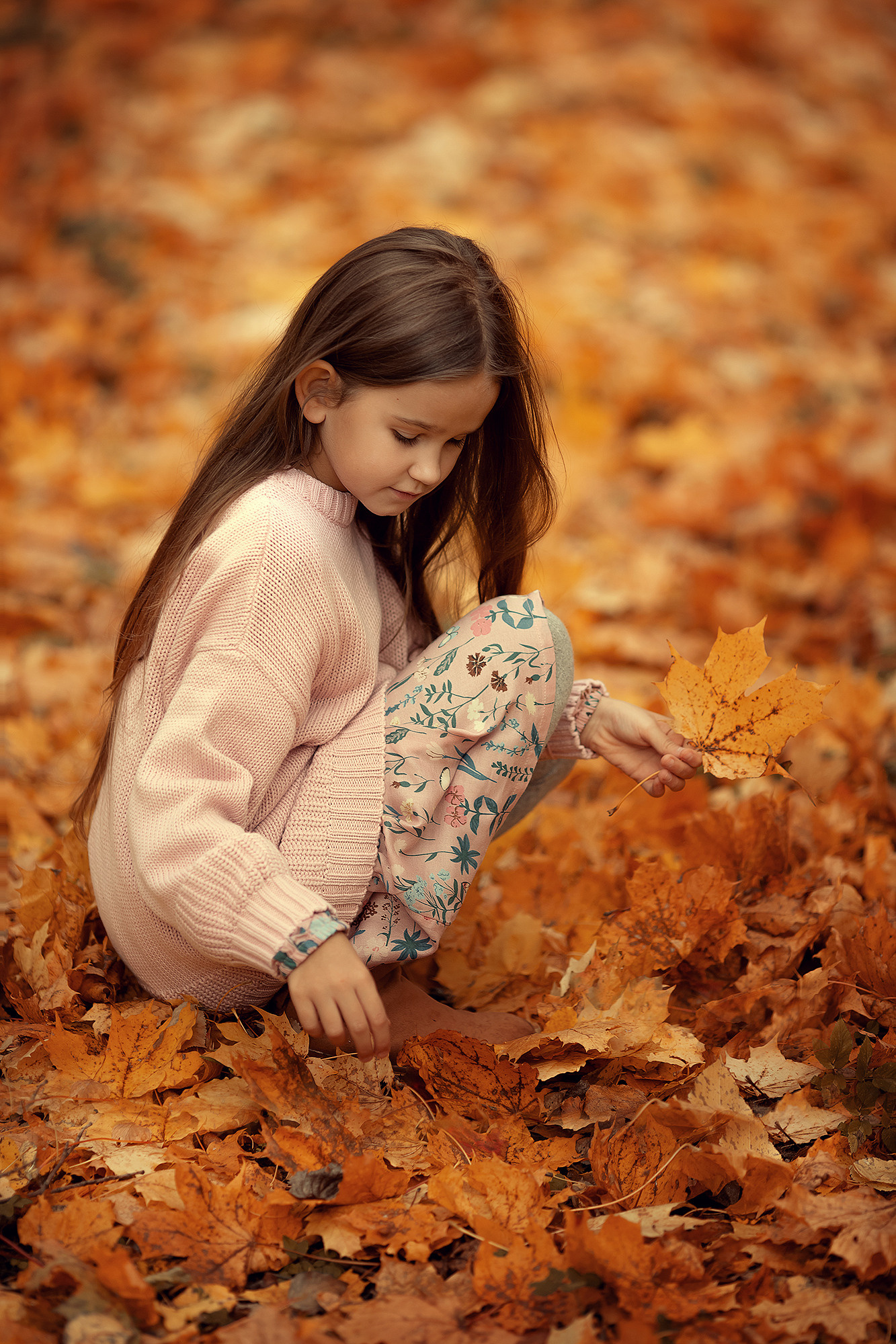 «Обработка осенних фотографий». Фотошкола Елены Светловой (Санкт-Петербург)