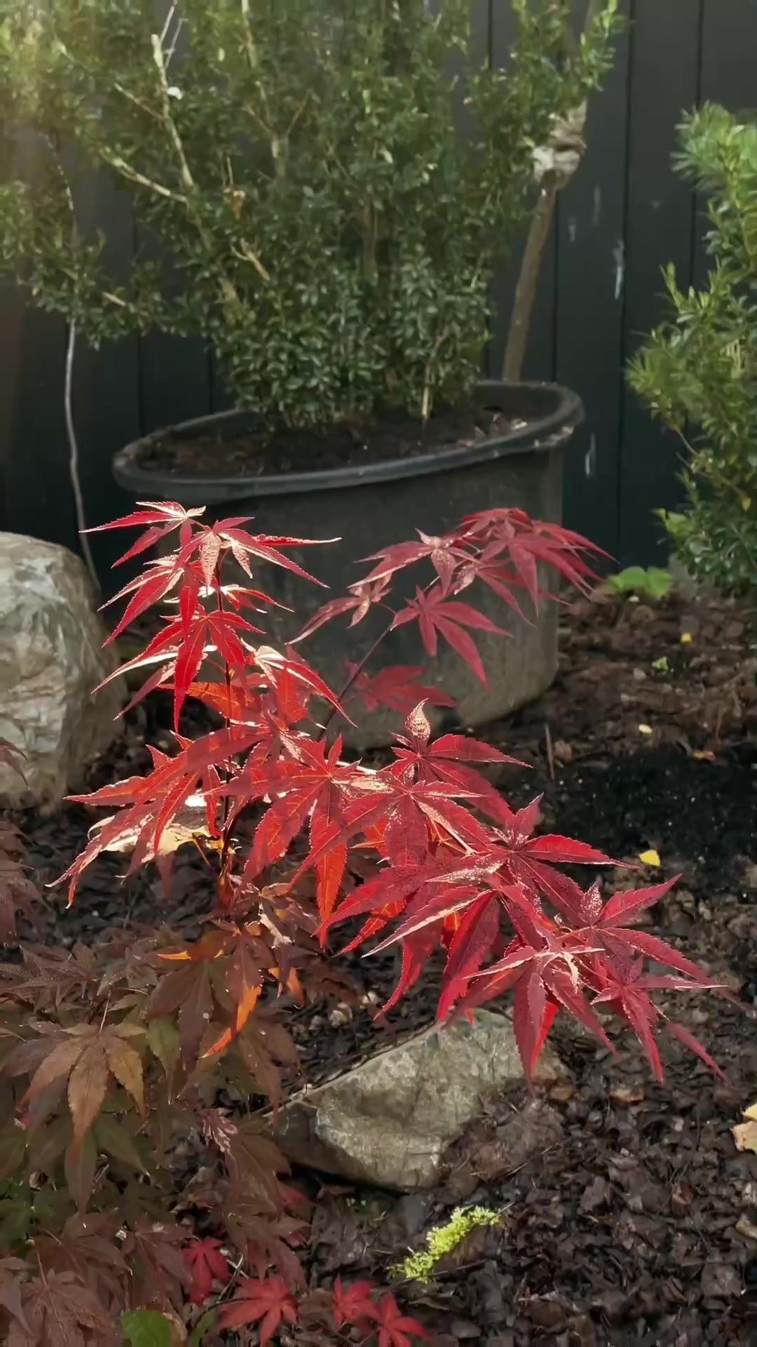 Видео для бизнеса заказать. Видеосъёмка в Екатеринбурге — услуги видеографа