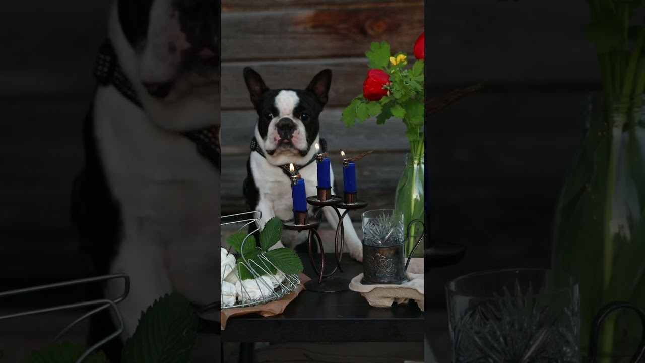 Услуги. Александра Кузьменко — стилист, фотограф, креативный продюсер