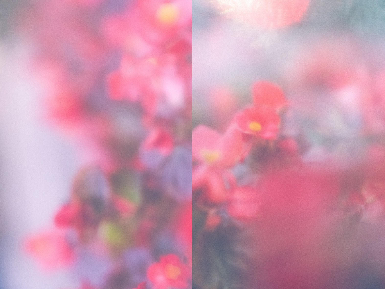 Eliza Ari | visual artist